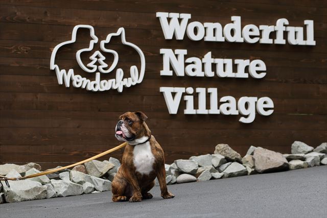 wonderful-nature-village01