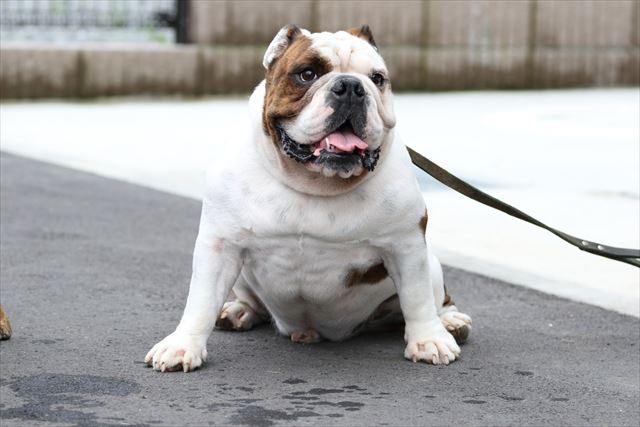 wonderful-nature-village04