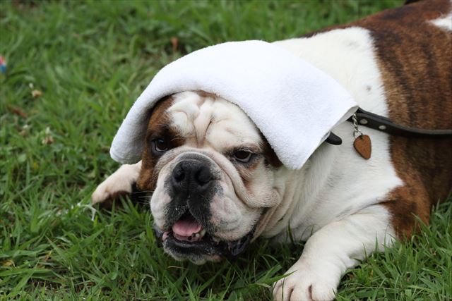 wonderful-nature-village08