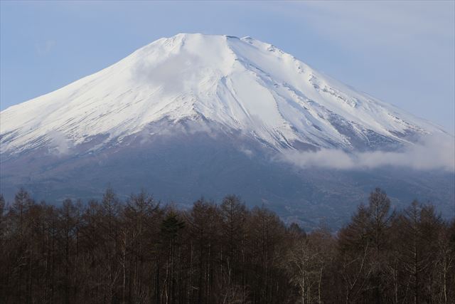 ドッグリゾートwoofからの富士山