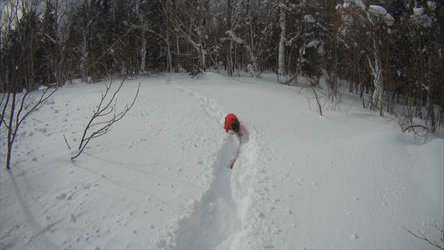 スノーシューハイク