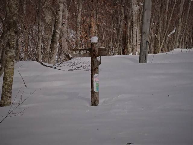 玉原湿原への看板