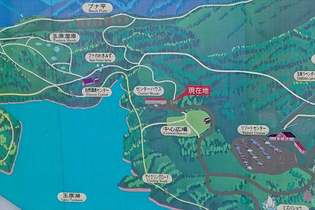 ウッドランドリゾート玉原の案内図