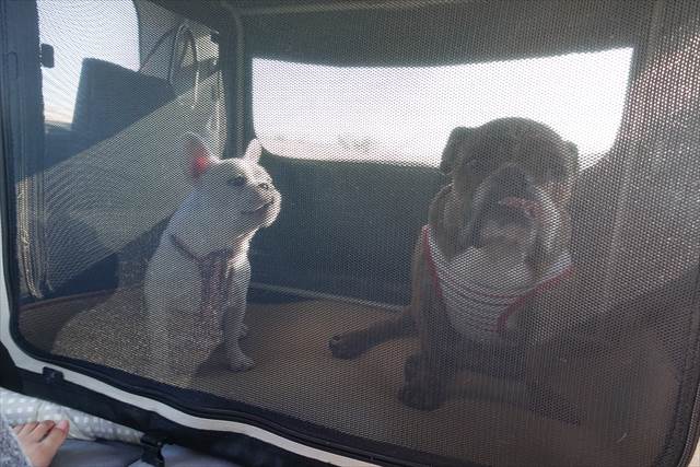 ソフトゲージの中の様子