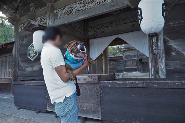 出雲大社で犬と参拝
