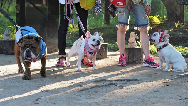 ３ワンで記念撮影