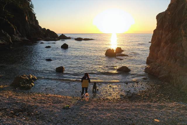 日本海に沈む夕日と犬達
