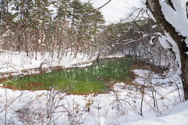 五色沼の一つ、赤沼