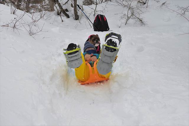 大人も楽しめるヒップソリ