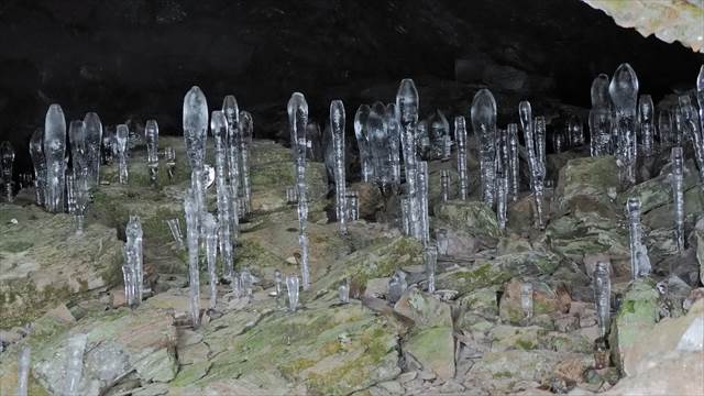 大幽洞窟の氷筍(ひょうじゅん)