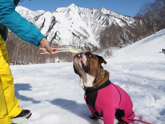 白毛門をバックに
