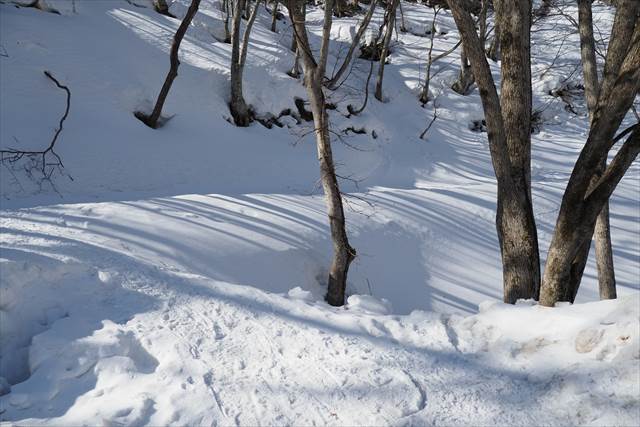 スノーシューに履き替える地点