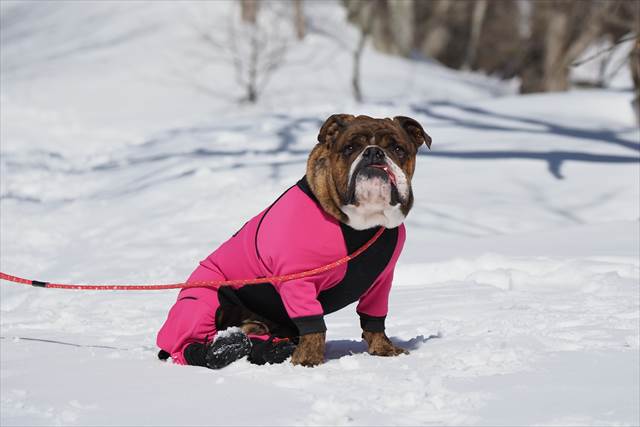 目と目が合ったらミラクル