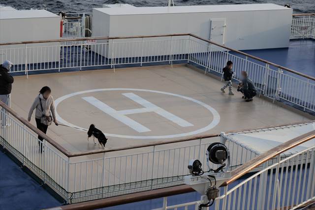 甲板にあるドッグフィールド(ドッグラン)