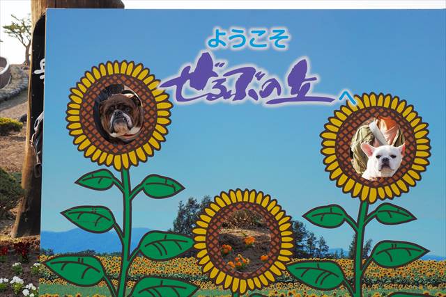 ひまわりの顔出しパネル