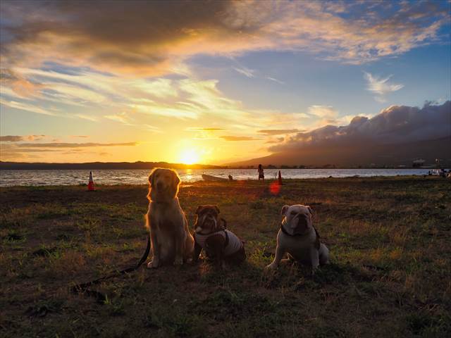 猪苗代湖をバッグに夕日撮影【天神浜オートキャンプ場】
